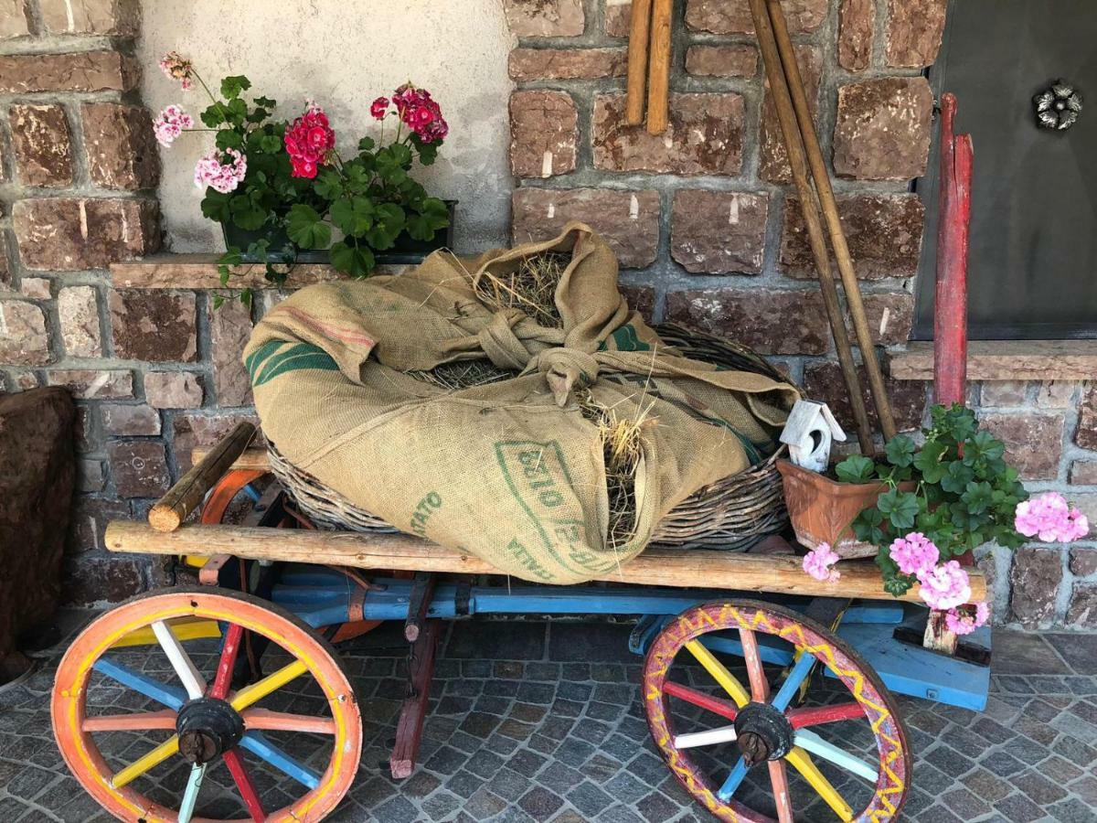 Villa La Dama Del Lago Molveno Bagian luar foto